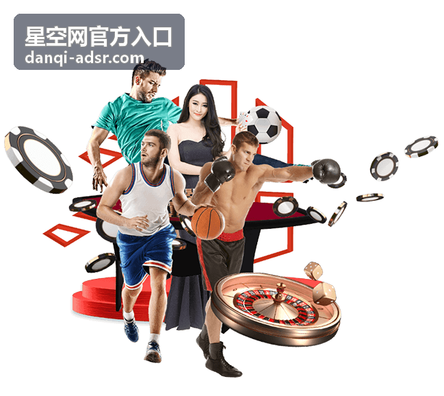 某教育平台接入星空网官方入口提升用户活跃度